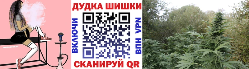 Где продают наркотики Новый Оскол Конопля  Кокаин  ГАШ  МЕФ 
