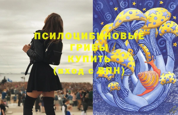 дживик Аркадак