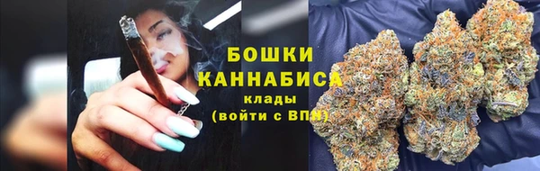 дживик Аркадак
