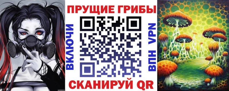 Псилоцибиновые грибы мицелий Новый Оскол